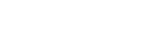 Bridges Travel and Tours logo white